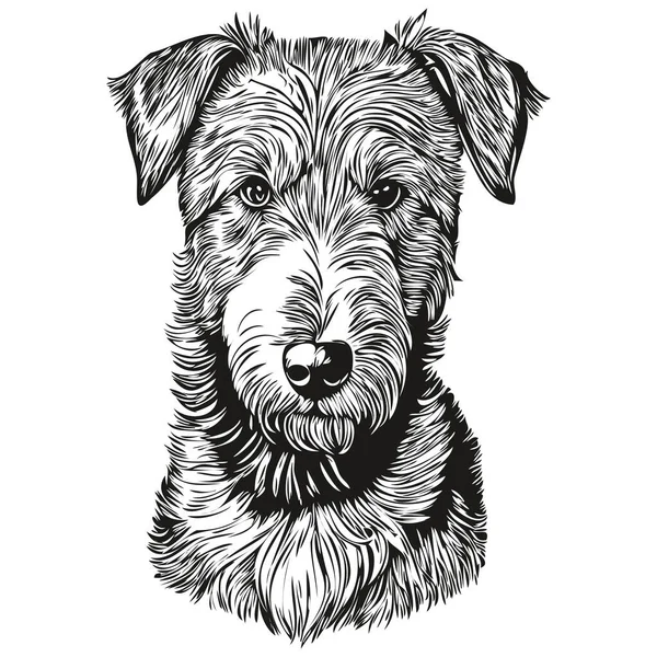 Airedale Terrier Hund Isolerad Ritning Vit Bakgrund Huvud Husdjur Linje — Stock vektor