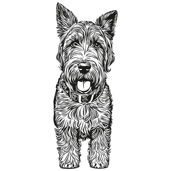 Airedale Terrier狗轮廓铅笔绘图 白色背景草图上的黑色字符 — 图库矢量图片