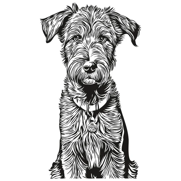 Airedale Terrier Chien Animal Réaliste Illustration Dessin Main Visage Croquis — Image vectorielle