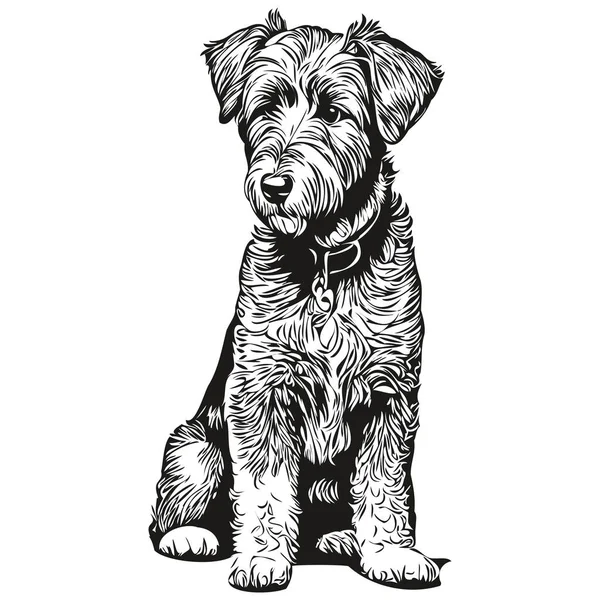 Airedale Terrier Pies Koszulka Druk Czarno Biały Ładny Zabawny Zarys — Wektor stockowy