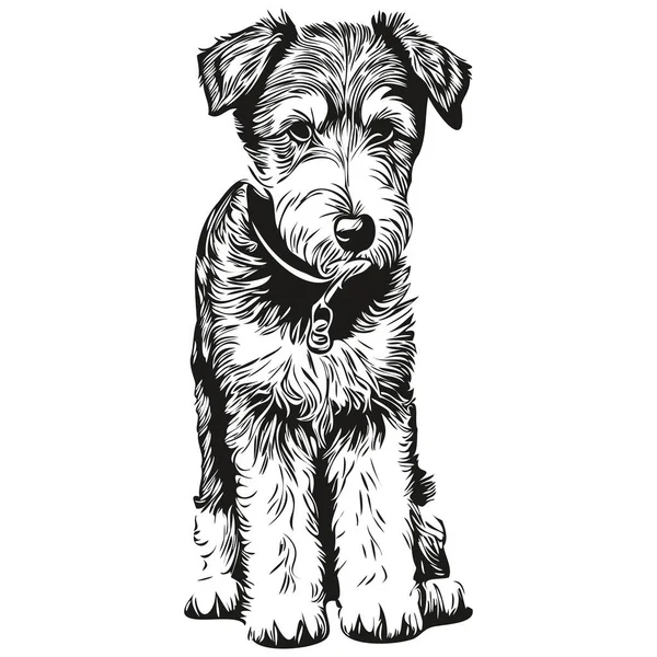 Airedale Terrier Pies Wektor Twarz Rysunek Portret Szkic Vintage Styl — Wektor stockowy