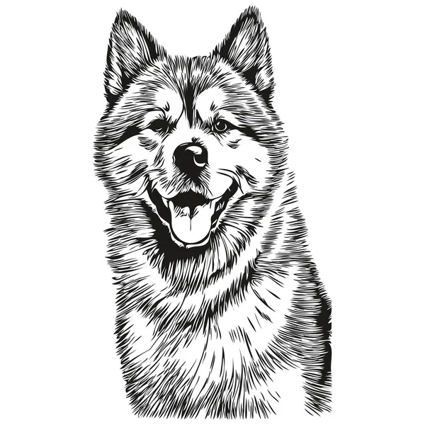 Akita Dog Cartoon Face Ink Portrait Black White Sketch Drawing — Stock Vector
