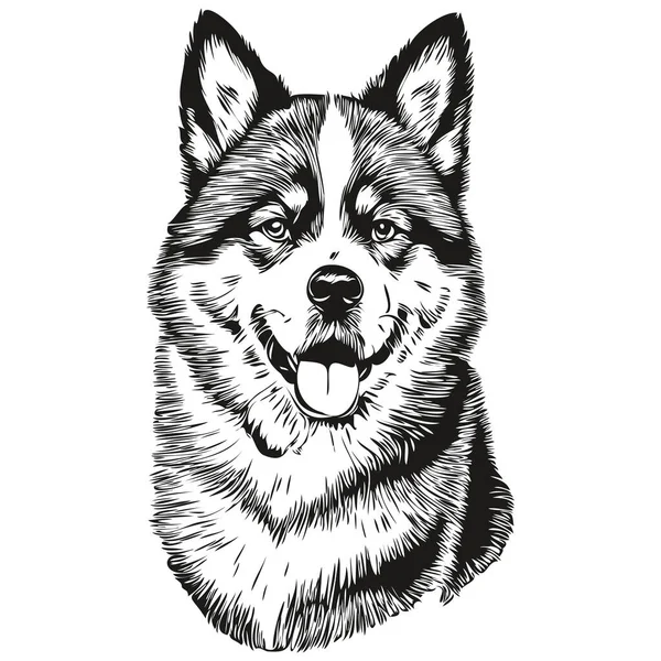 Akita Cão Raça Linha Desenho Clip Arte Animal Mão Desenho —  Vetores de Stock