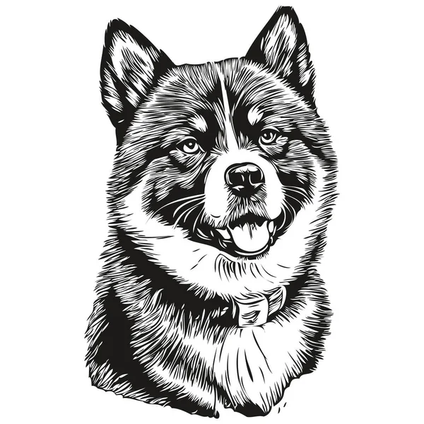 Akita Dog Ingraved Vector Portrait Face Cartoon Vintage Draw Black — 스톡 벡터