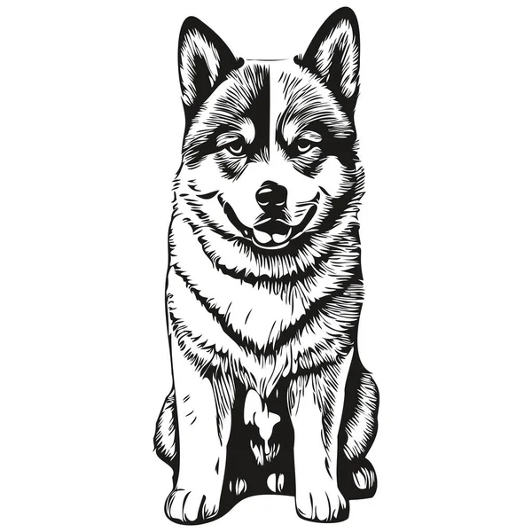 Akita Dog Face Vector Portrait Funny Outline Pet Illustration White — Stock Vector