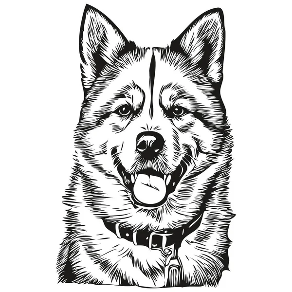 秋田犬雕刻矢量肖像 脸卡通画黑白逼真品种宠物 — 图库矢量图片