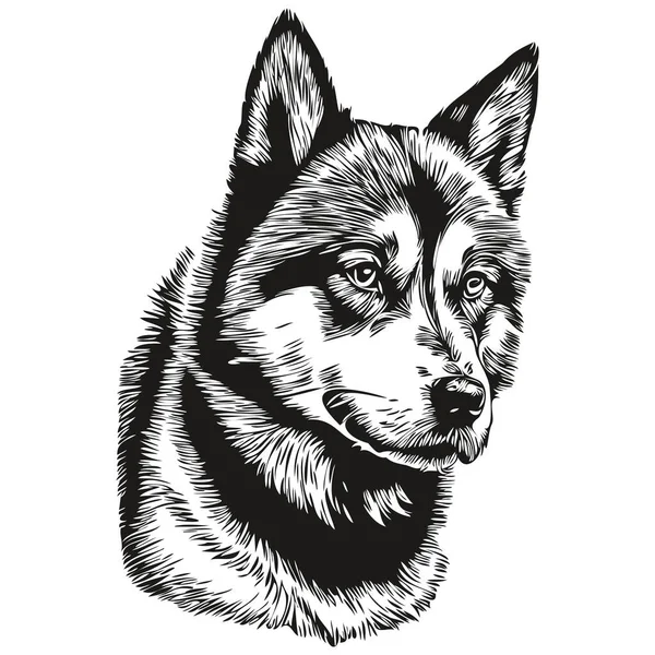 Векторный Портрет Собаки Akita Смешной Очертания Питомца Иллюстрация Белый Фон — стоковый вектор
