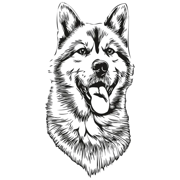 Akita Dog Hand Drawn Logo Drawing Black White Line Art — Stock Vector