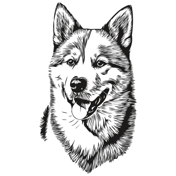 Akita Dog Head Line Drawing Vector Hand Drawn Illustration Transparent — Stock Vector