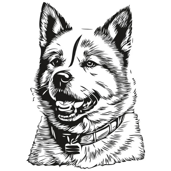 Вектор Рисунка Головы Собаки Akita Нарисованный Вручную Рисунок Прозрачным Фоновым — стоковый вектор
