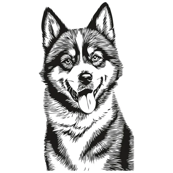 Akita Dog Line Illustration Schwarz Weiß Tuschskizze Gesicht Porträt Vektor — Stockvektor