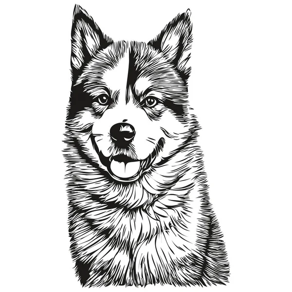 Akita Hund Isoliert Zeichnung Auf Weißem Hintergrund Kopf Haustierlinie Illustration — Stockvektor
