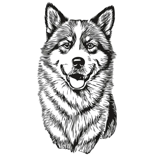 秋田狗标志载体黑白相间 老旧可爱的狗头雕刻逼真的品种宠物 — 图库矢量图片