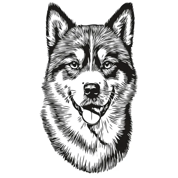 Akita Hond Omtrek Potlood Tekening Artwork Zwart Karakter Witte Achtergrond — Stockvector