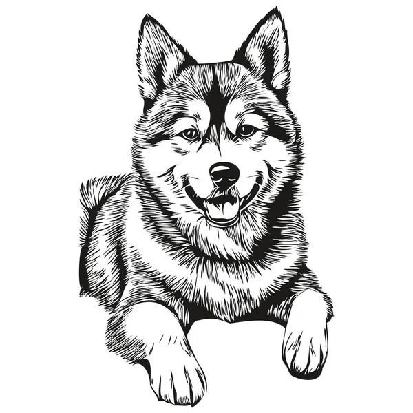 秋田宠物狗的人物形象 动物线条插图手绘黑白病媒逼真品种宠物狗 — 图库矢量图片