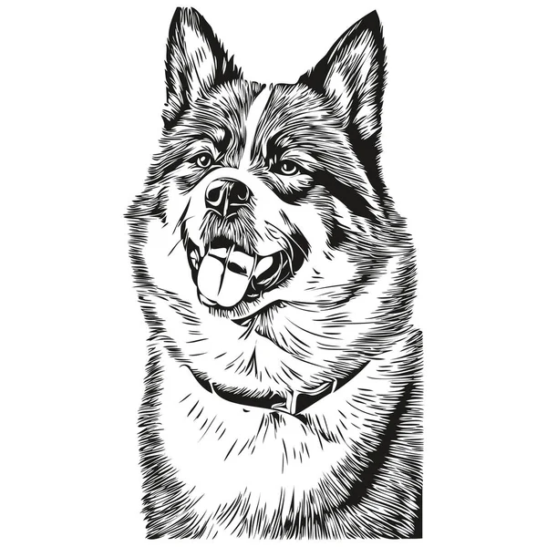 Akita Pes Pet Silueta Zvíře Linie Ilustrace Ručně Kreslené Černobílé — Stockový vektor