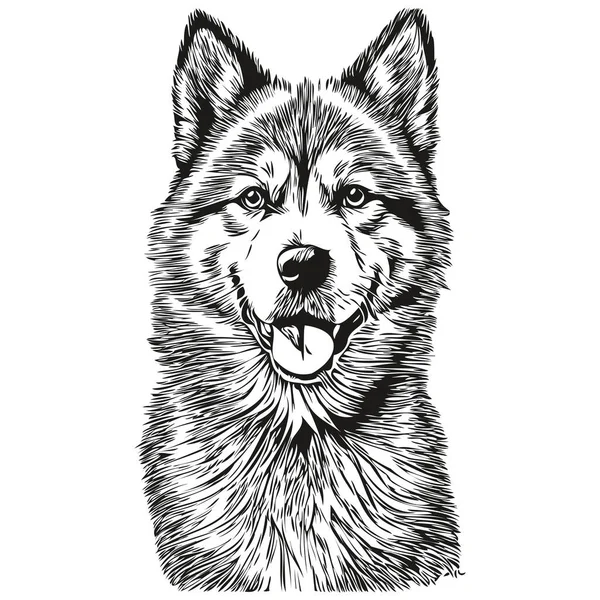 Akita Dog Pencil Hand Drawing Vector Outline Illustration Pet Face — Stock Vector
