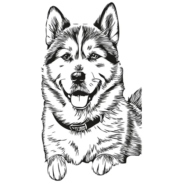 Иллюстрация Эскиза Собаки Akita Черно Белая Гравировка Вектор Реалистичной Породы — стоковый вектор