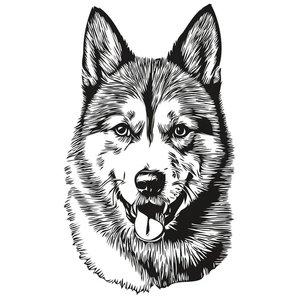 Akita Hund Husdjur Skiss Illustration Svart Och Vitt Gravyr Vektor — Stock vektor