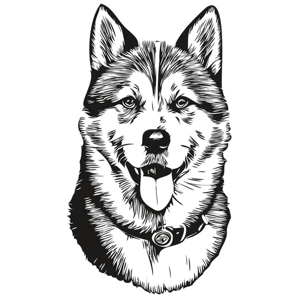 Portret Psa Akita Wektorze Rysunek Dłoni Zwierzęcia Tatuażu Lub Druku — Wektor stockowy