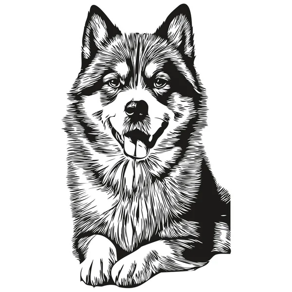 Retrato Cão Akita Vetor Desenho Mão Animal Para Tatuagem Tshirt — Vetor de Stock