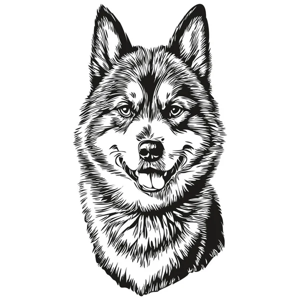 Akita Hund Realistische Bleistiftzeichnung Vektor Linienkunst Illustration Des Hundegesichts Schwarz — Stockvektor