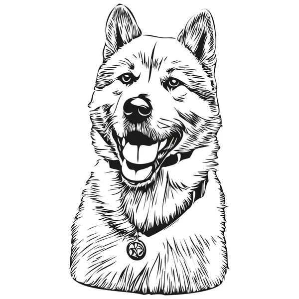 秋田犬の現実的な鉛筆画ベクトル 犬の顔の線画黒と白の現実的な品種のペット — ストックベクタ