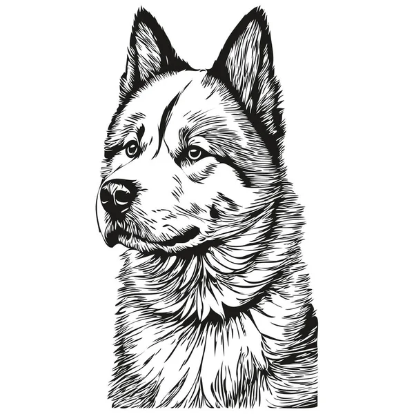 Рисунок Карандашом Векторе Рисунок Черно Белым Лицом Собаки Линии — стоковый вектор