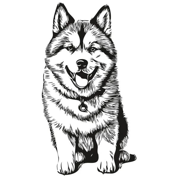 秋田犬リアルなペットイラスト 手描き顔黒と白のベクトル — ストックベクタ