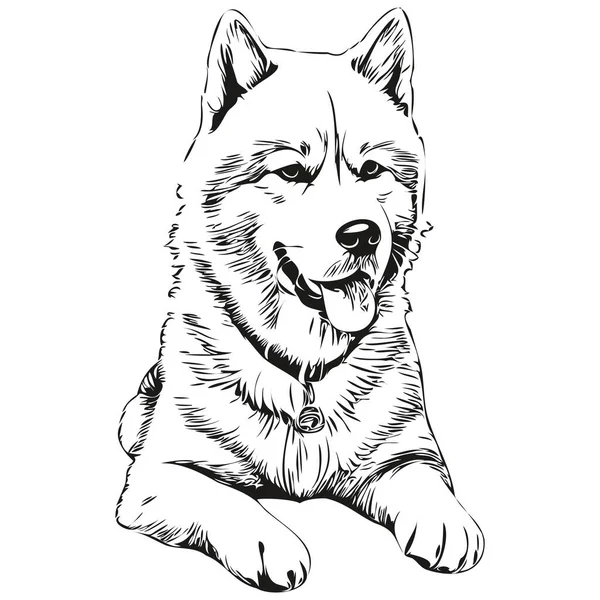 Akita Cão Silhueta Pet Personagem Clip Arte Vetor Animais Estimação — Vetor de Stock