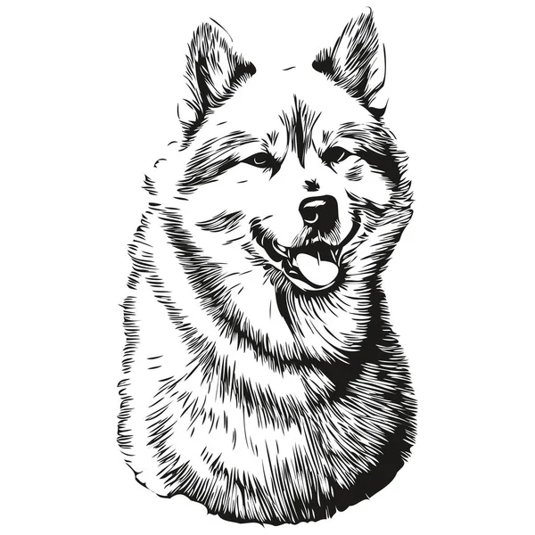 Akita Dog Vector Face Drawing Portrait Sketch Vintage Style Transparent — Stock Vector