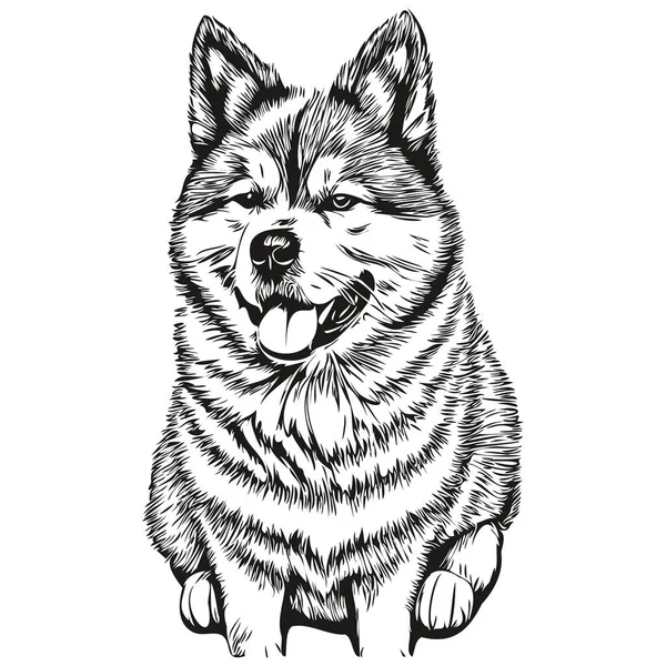 秋田犬ベクトルグラフィック 手描きペンシル動物ラインイラスト現実的な品種ペット — ストックベクタ