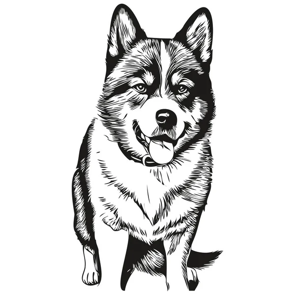 Akita Dog Vector Graphics Hand Drawn Pencil Animal Line Illustration — Stock Vector