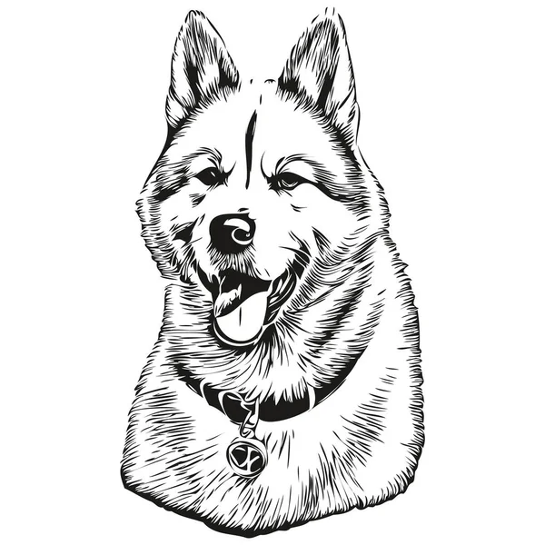 Akita Cão Vetor Gráficos Desenhado Mão Lápis Animal Linha Ilustração — Vetor de Stock