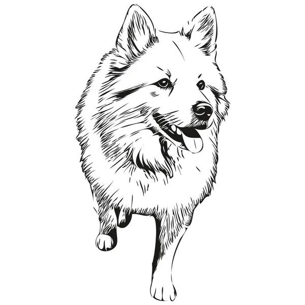 Amerikanischer Eskimo Hund Schwarzer Zeichenvektor Isolierte Gesichtsbemalung Skizze Linie Illustration — Stockvektor