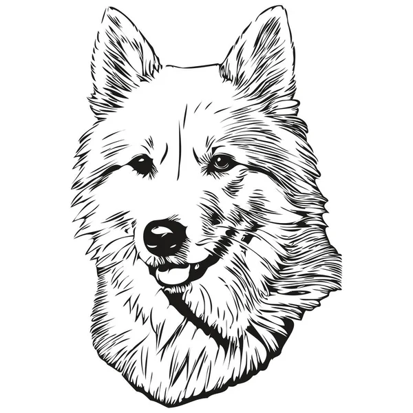 Amerikanischer Eskimo Hund Schwarzer Zeichenvektor Isoliertes Kinderschminken Skizze Linienillustration — Stockvektor