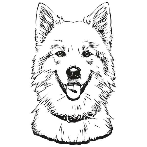 American Eskimo Pies Rasa Linia Rysunek Klip Sztuka Zwierząt Ręka — Wektor stockowy