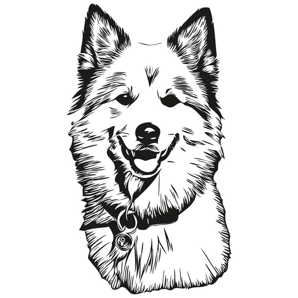 Amerikanische Eskimo Hunderasse Linienzeichnung Clip Art Tier Hand Zeichnung Vektor — Stockvektor