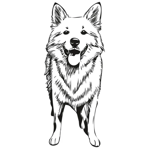 American Eskimo Cão Desenho Animado Retrato Tinta Facial Desenho Esboço — Vetor de Stock
