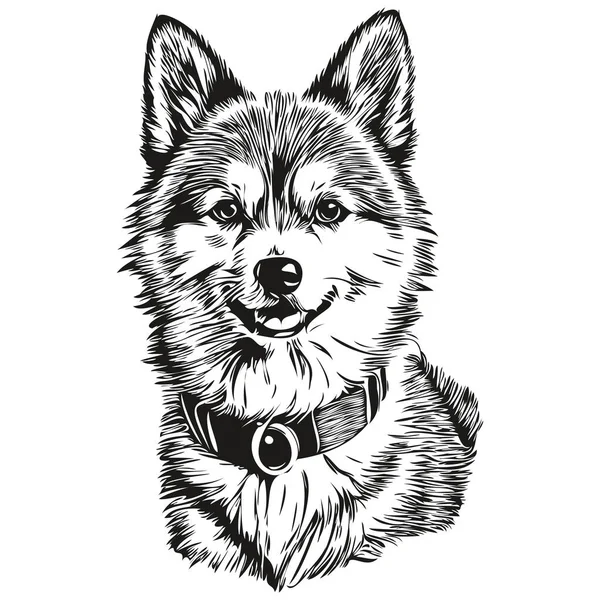 Amerikansk Eskimo Hund Tecknad Ansikte Bläck Porträtt Svart Och Vitt — Stock vektor
