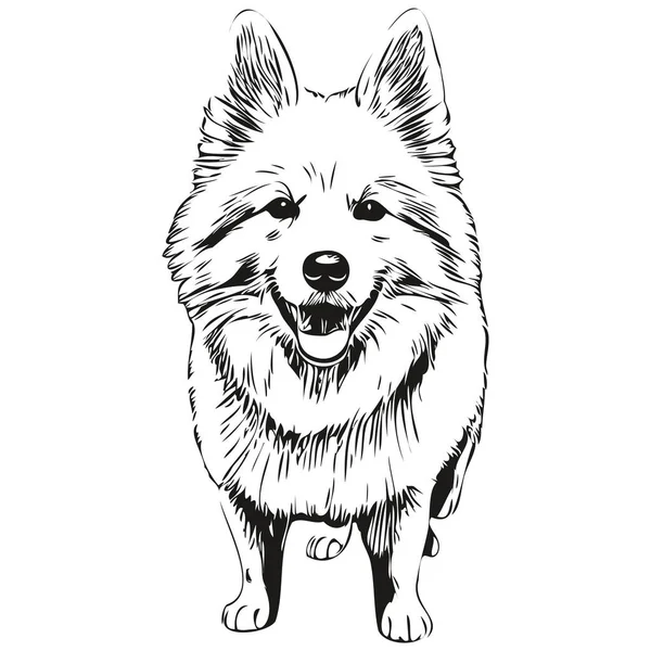 Американский Векторный Портрет Собаки Эскимоса Смешной Очертания Питомца Иллюстрации Белый — стоковый вектор