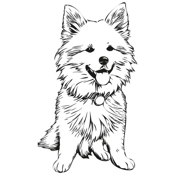 American Eskimo Cão Mão Logotipo Desenhado Desenho Preto Branco Linha —  Vetores de Stock