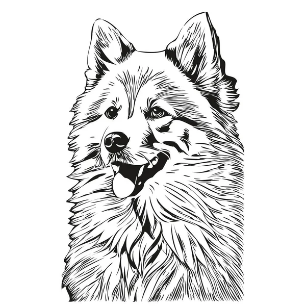 美国爱斯基摩犬手绘标识画黑白线条艺术宠物画图 — 图库矢量图片