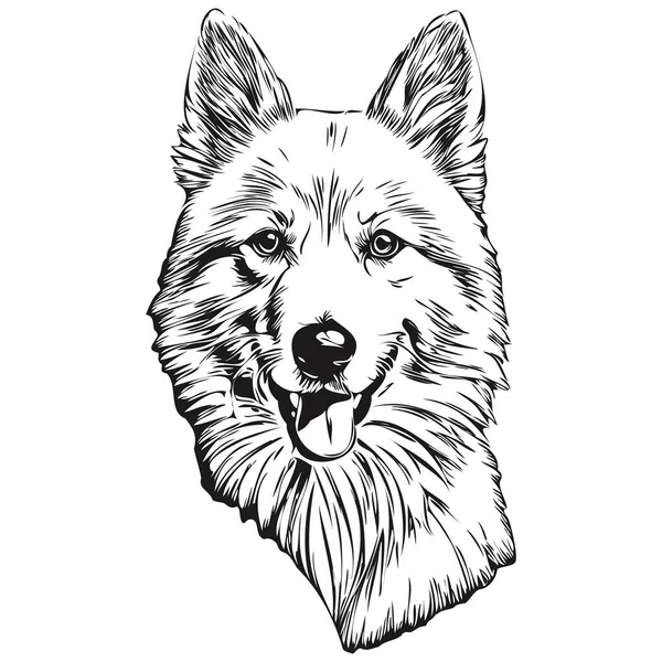 美国爱斯基摩犬水墨画 古色古香纹身或T恤衫印刷黑白矢量 — 图库矢量图片