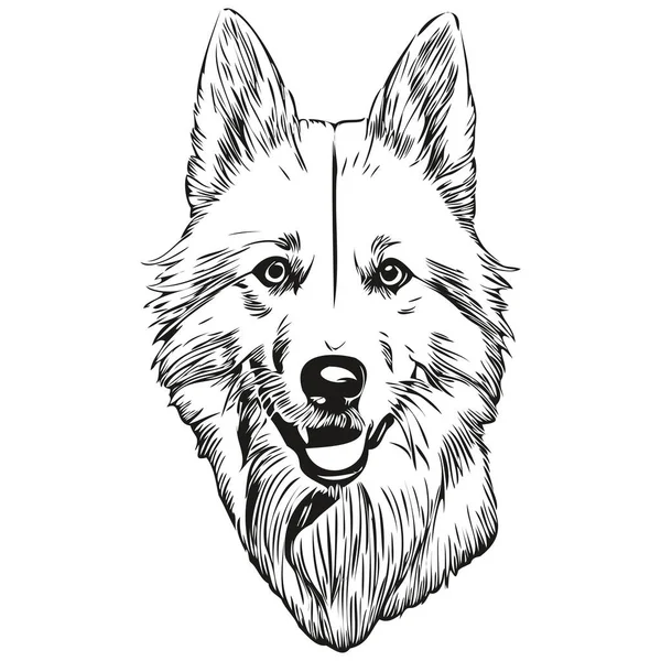 American Eskimo Dog Line Illustration Black White Ink Sketch Face — Stock Vector
