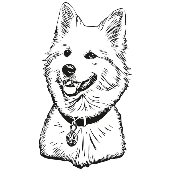 American Eskimo Dog Line Illustration Black White Ink Sketch Face — 스톡 벡터
