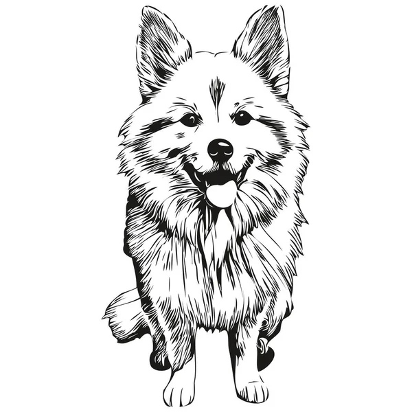 American Eskimo Dog Outline Bleistiftzeichnung Grafik Schwarzer Charakter Auf Weißem — Stockvektor