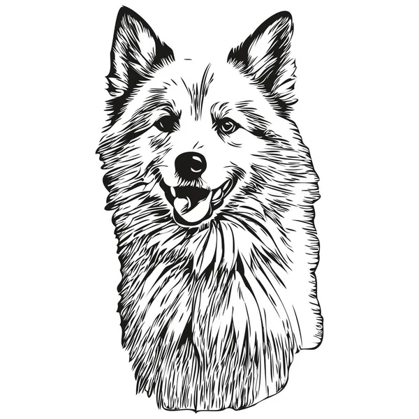 American Eskimo Pes Obrys Tužkou Kresba Umělecké Dílo Černý Znak — Stockový vektor