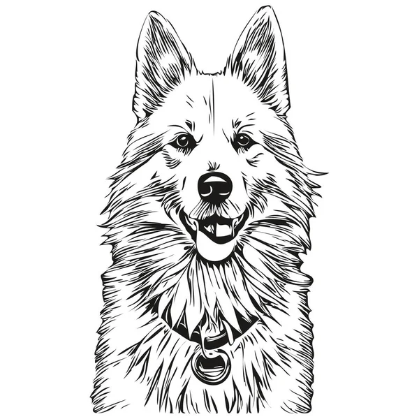 American Eskimo Hund Kontur Penna Ritning Konstverk Svart Karaktär Vit — Stock vektor