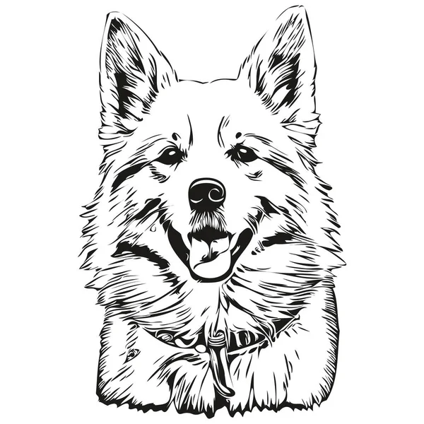 美国爱斯基摩犬宠物的轮廓 动物线条插图手绘黑白病媒逼真品种宠物 — 图库矢量图片